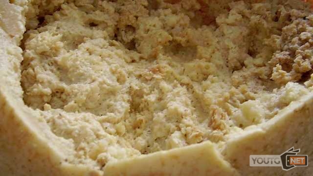 Casu Marzu Cheese1