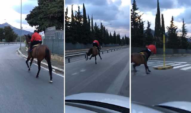 Corsa Cavallo Palermo