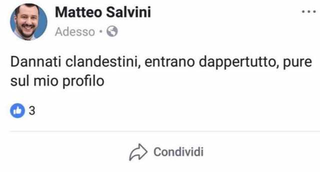 Salvini Hackerto Tagliato