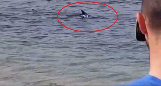 Aguglia Baccu Mandara