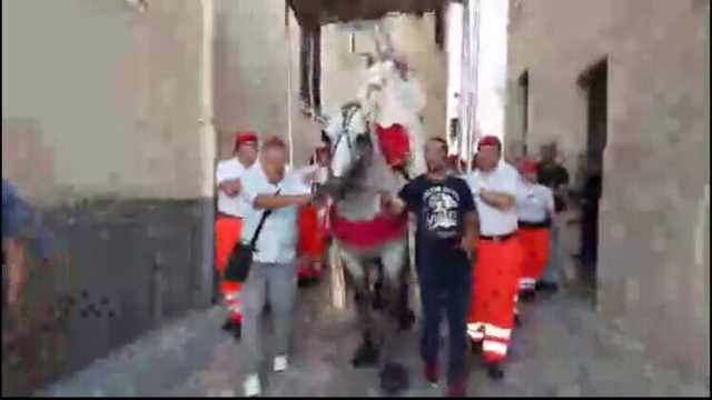 Vescovo Brindisi Cavallo 040618