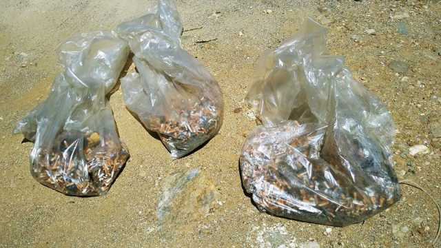 Sacchi Cicche Raccolte 2 1