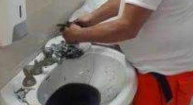 Medico Seppie Tagliate