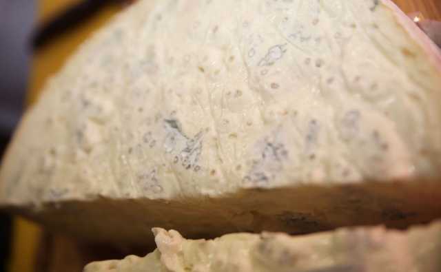 Gorgonzola