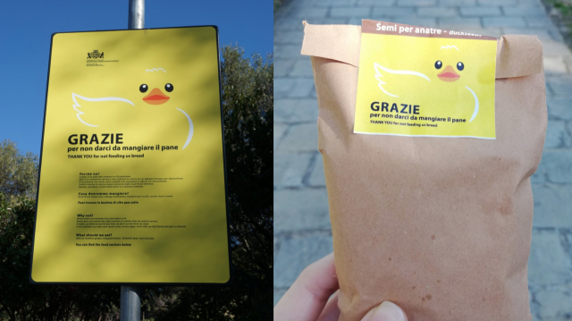 Semi Per Anatre Monte Urpinu