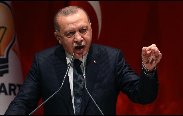 Erdogan Turchia