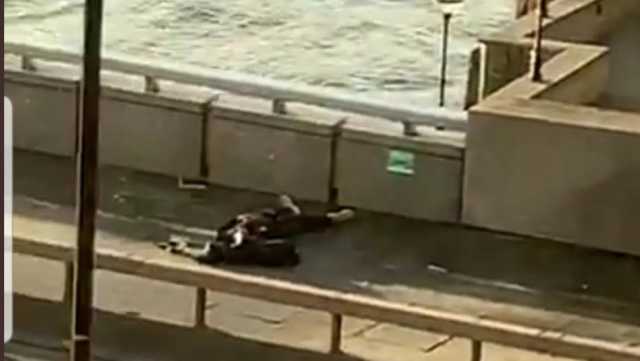 Coltellatore London Brideg