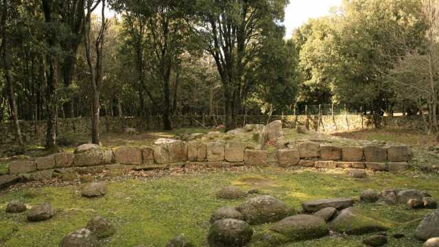 Bosco Seleni Lanusei