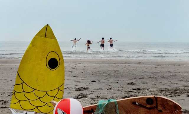 Sardine Tuffo Pre Elezioni