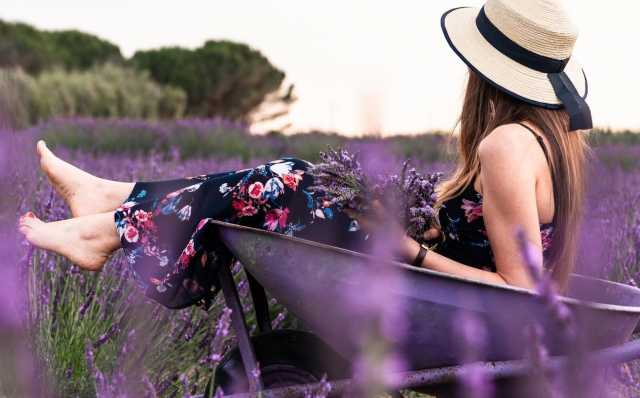 Campo Di Lavanda Shooting