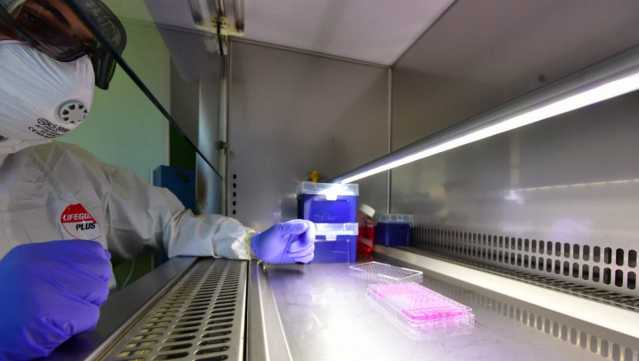 Microbiol Coronavirus