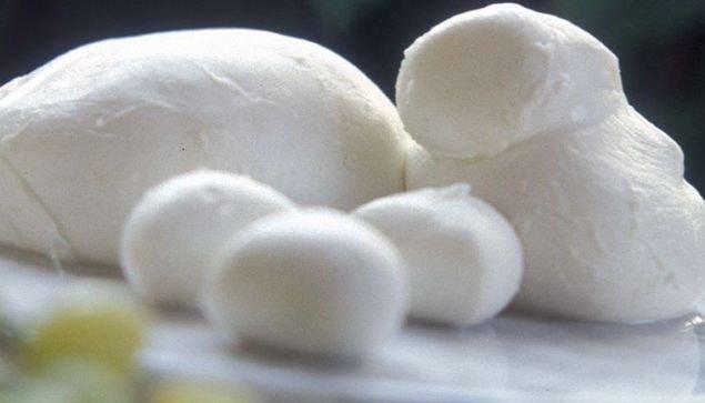 Mozzarellina