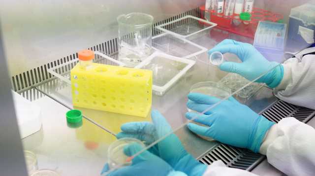 Laboratorio Vaccino Johns