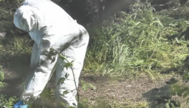 Schermata 2020 12 22 Alle 09.09.54