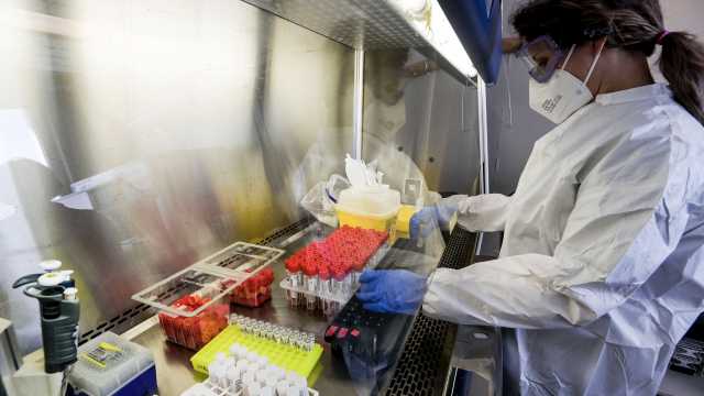 Tamponi Falsi Sicilia