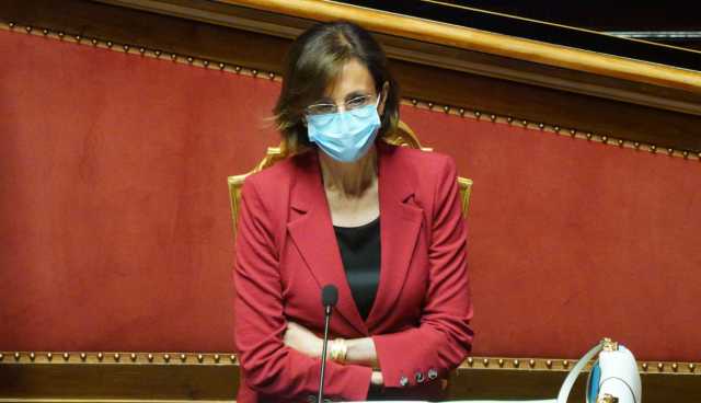 Cartabia Senato Question