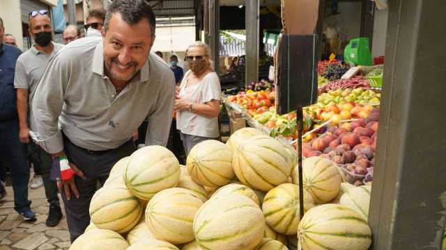 Salvini Meloni