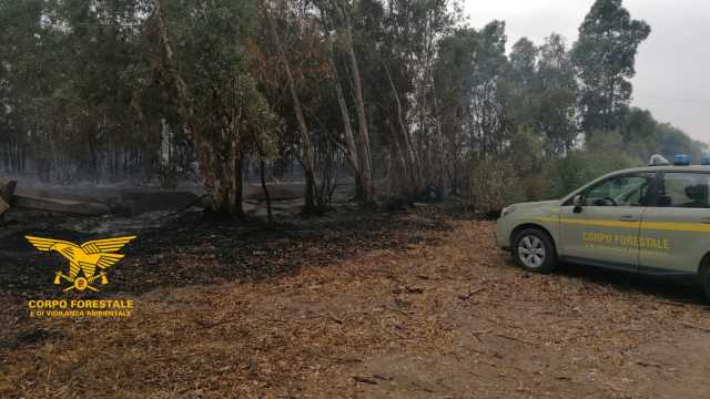 51403795073 5ca97be565 O