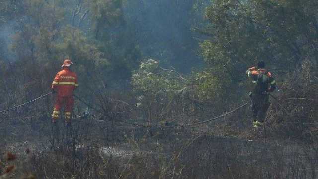 Spento un incendio partito a Villagrande Strisaili: pericolo altissimo con il forte maestrale