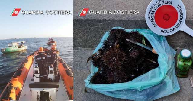 I controlli della Guardia costiera 