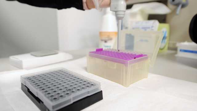 Analisi di laboratorio alla ricerca del Covid