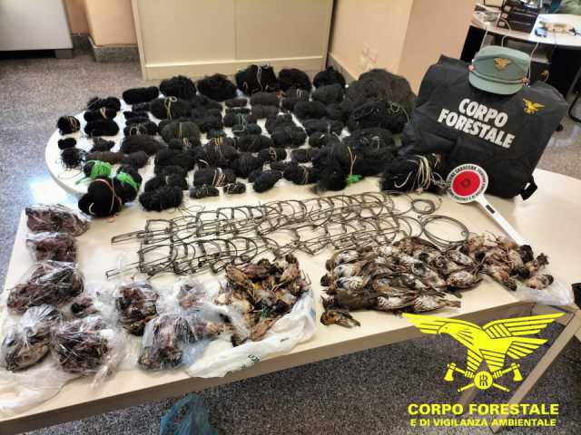Il materiale dei bracconieri 