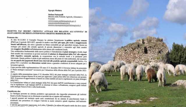 Lettera pastori a Patuanelli 