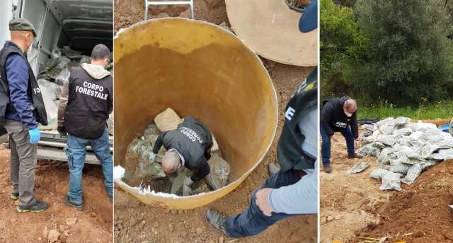 Sequestro di marijuana della Forestale 