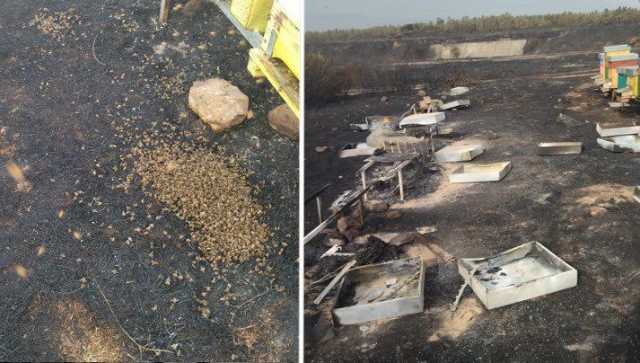 Monte Arci fiamme alveari