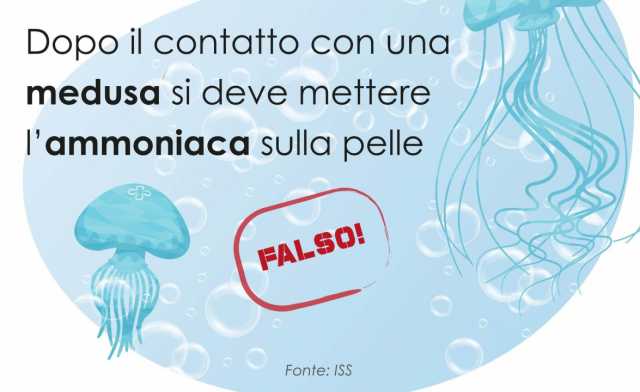 Il post dell'Aou sulle punture di medusa