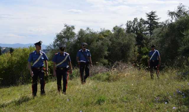 Dà fuoco a 50 chili di plastica e pneumatici a Villamar: allevatore nei guai