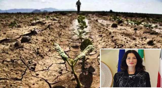 Aiuti siccità, assessore Murgia: "Acceleriamo i tempi dei pagamenti"