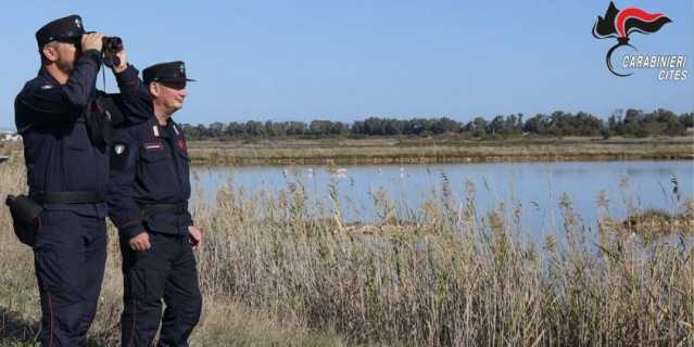 4140701d 6c39 46e8 B048 Fe241374abde