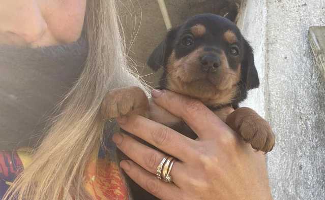 LA FATTORIA DI MINU A NUORO