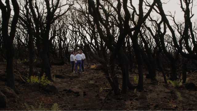 Lombra Del Fuoco   Foto 1