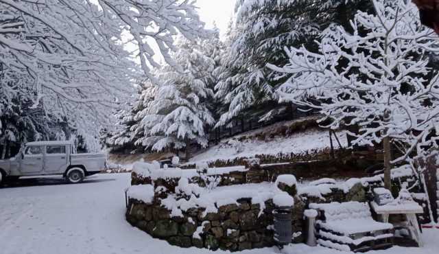 C8703649 Ed01 49f4 Ae7b A0938074d86d