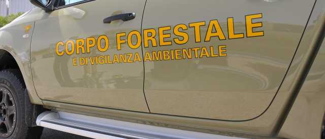 A68daeac 2fa1 47b1 Bce2 870624bfda81 4