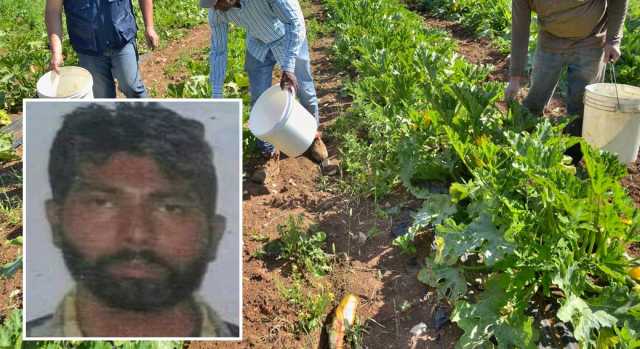 BRACCIANTE INDIANO MORTO