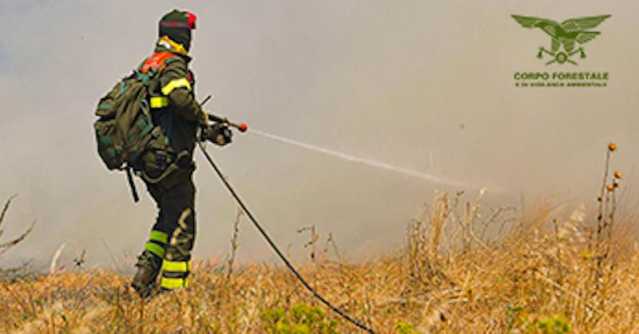 Corpo Forestale Archivio Fuoco