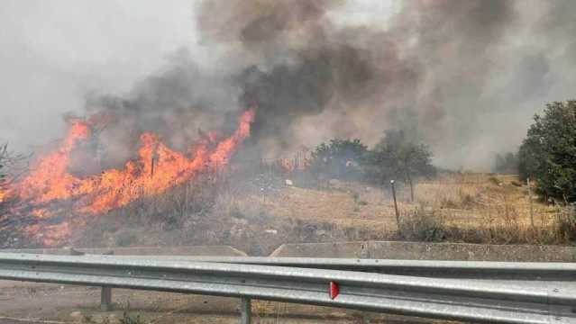 Pericolo Incendi Cagliari