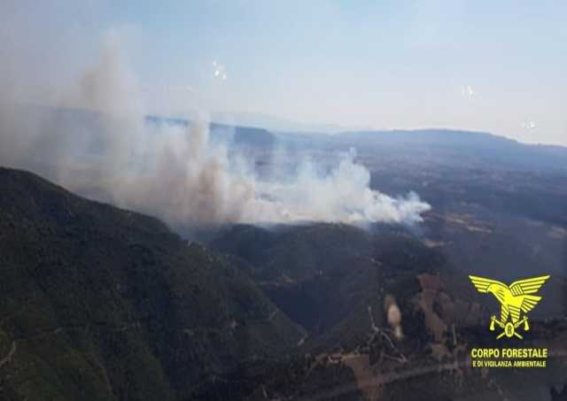 Incendio sardegna