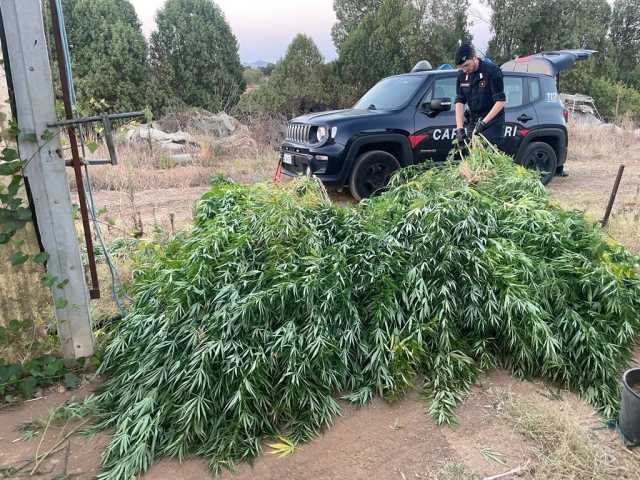 WhatsApp Image 2024 08 16 At 12.00.22