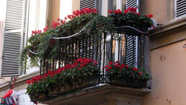 Balcone Con Fiori