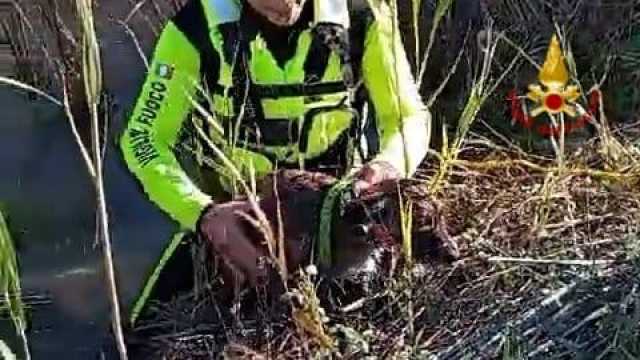 WhatsApp Image 2024 12 05 At 19.02.48