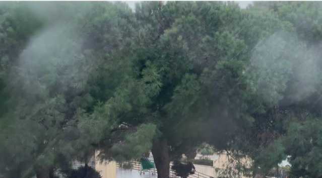 Photo 5992244921937020984 Y