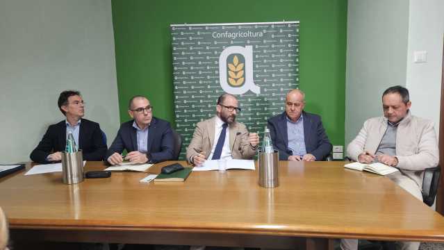 1 Da Sinistra   Pinna Monne Taras Sanna E Nieddu