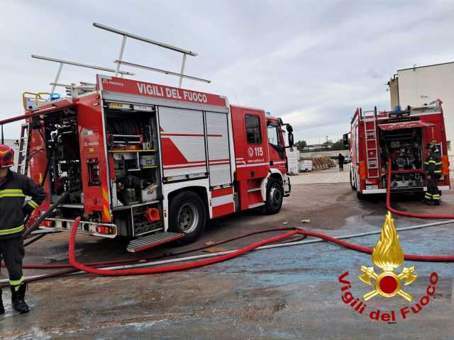 WhatsApp Image 2025 01 09 At 16.22.21