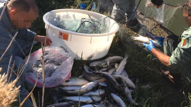 54351932178 D578eed85e O