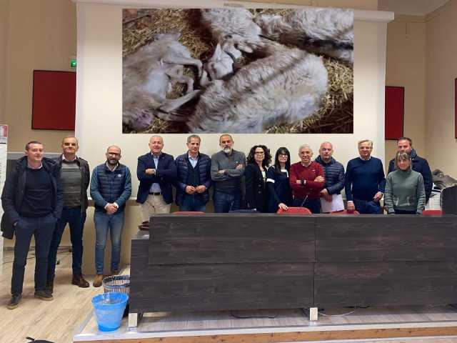 Campagna vaccinale Blue Tongue