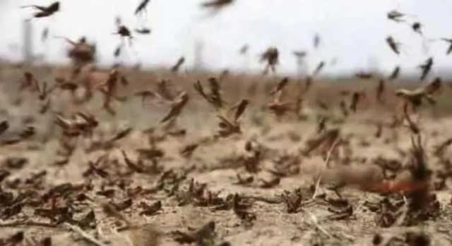 WhatsApp Image 2025 03 11 At 17.14.48